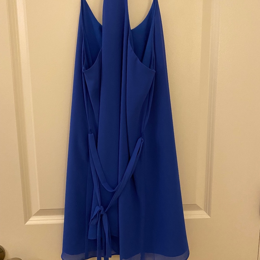 Naked Zebra Blue Mini Dress